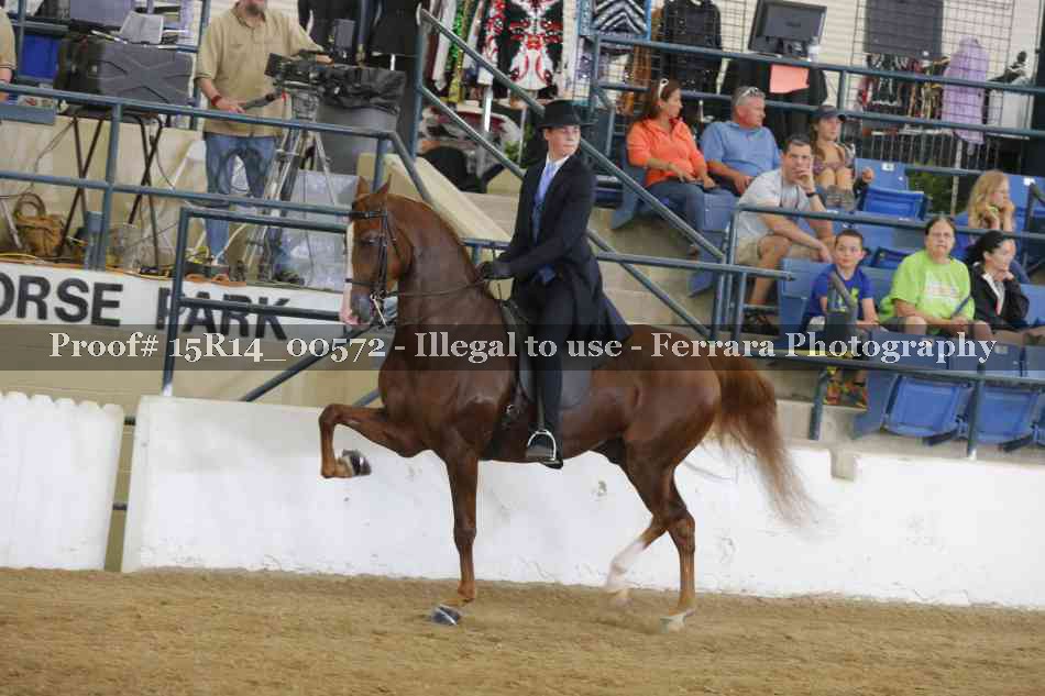 Proof Number 15R14_00572