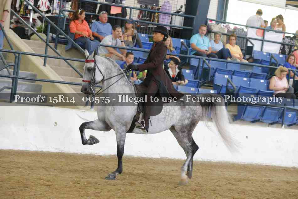 Proof Number 15R14_00575