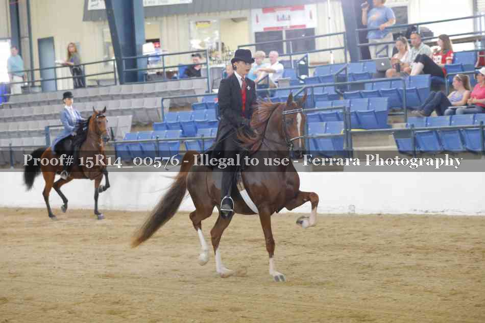 Proof Number 15R14_00576