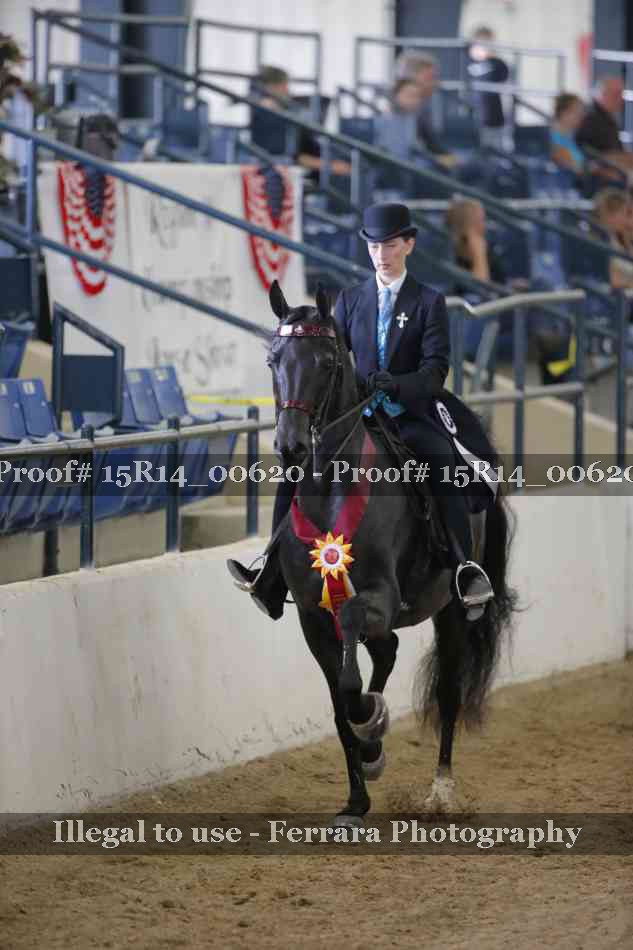 Proof Number 15R14_00620
