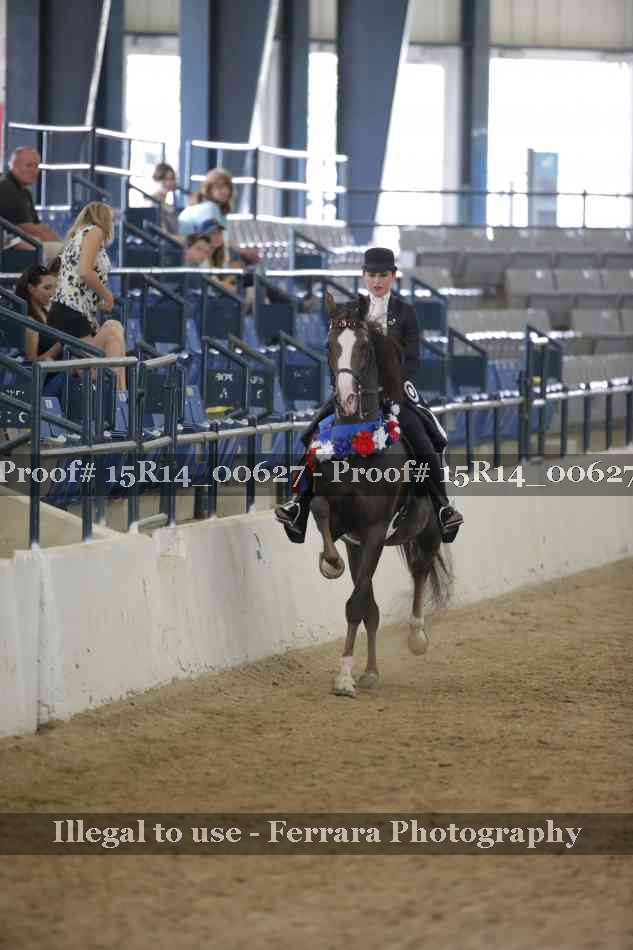 Proof Number 15R14_00627