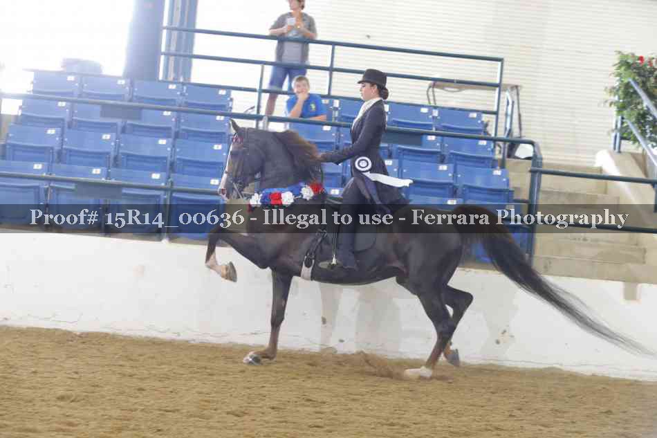 Proof Number 15R14_00636