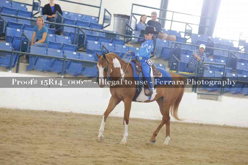 Proof Number 15R14_00677