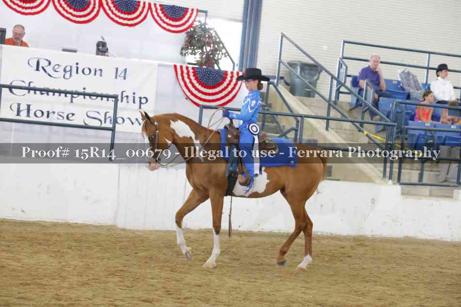 Proof Number 15R14_00679