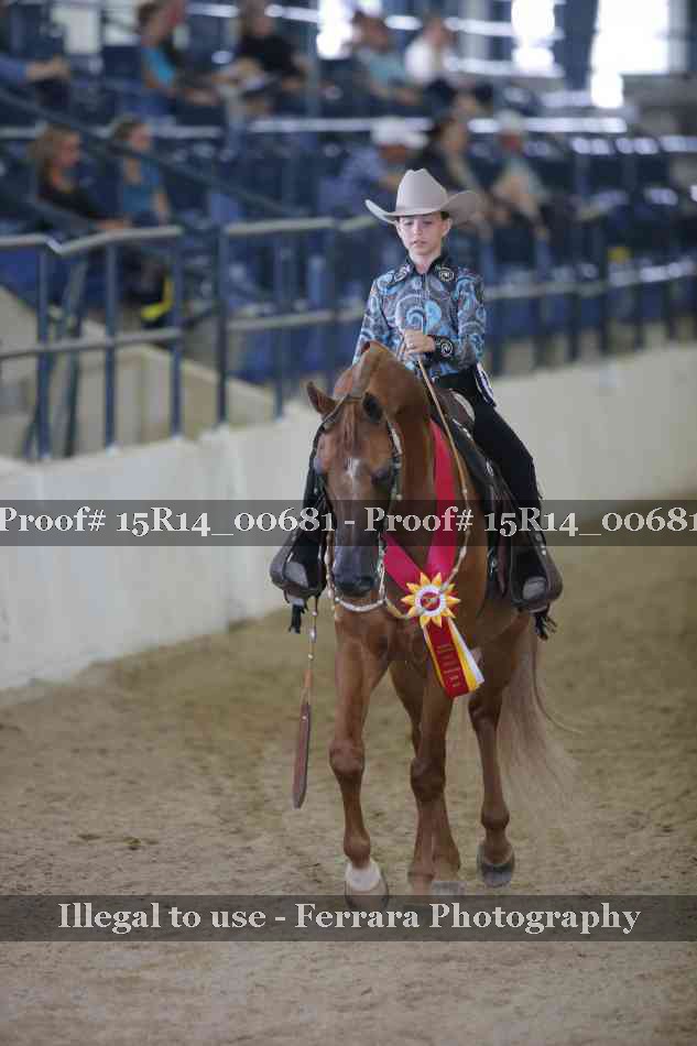 Proof Number 15R14_00681