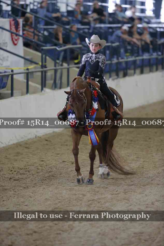 Proof Number 15R14_00687
