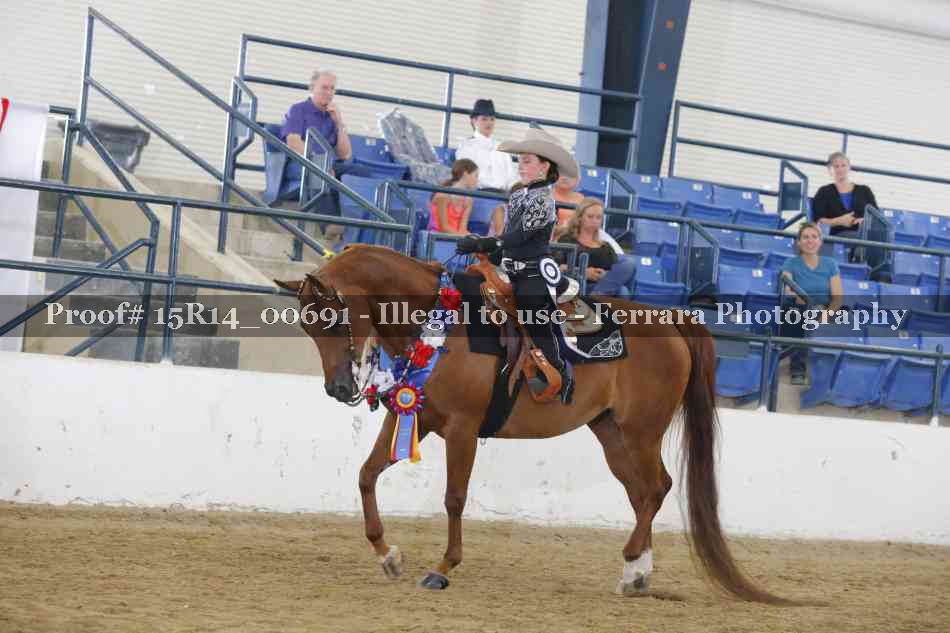 Proof Number 15R14_00691
