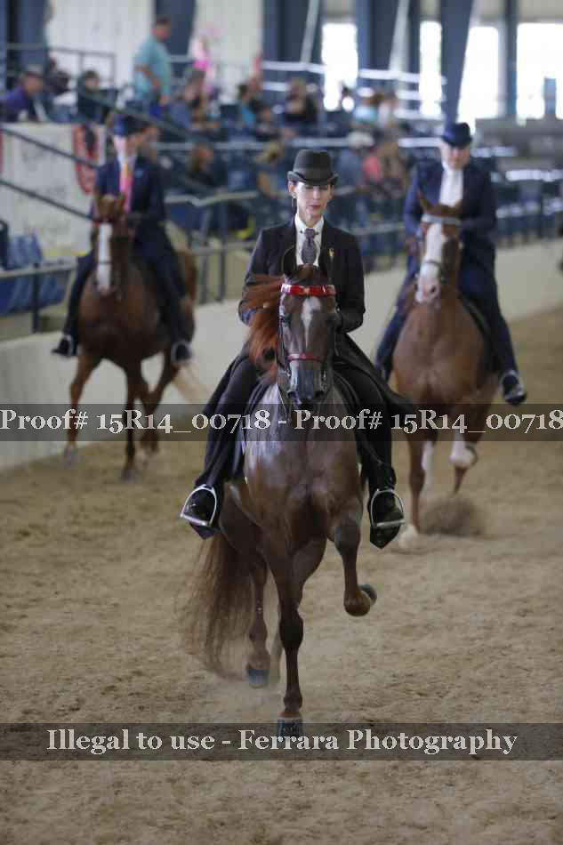 Proof Number 15R14_00718