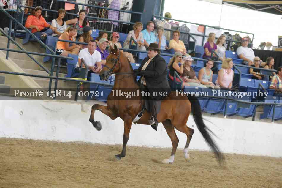 Proof Number 15R14_00721