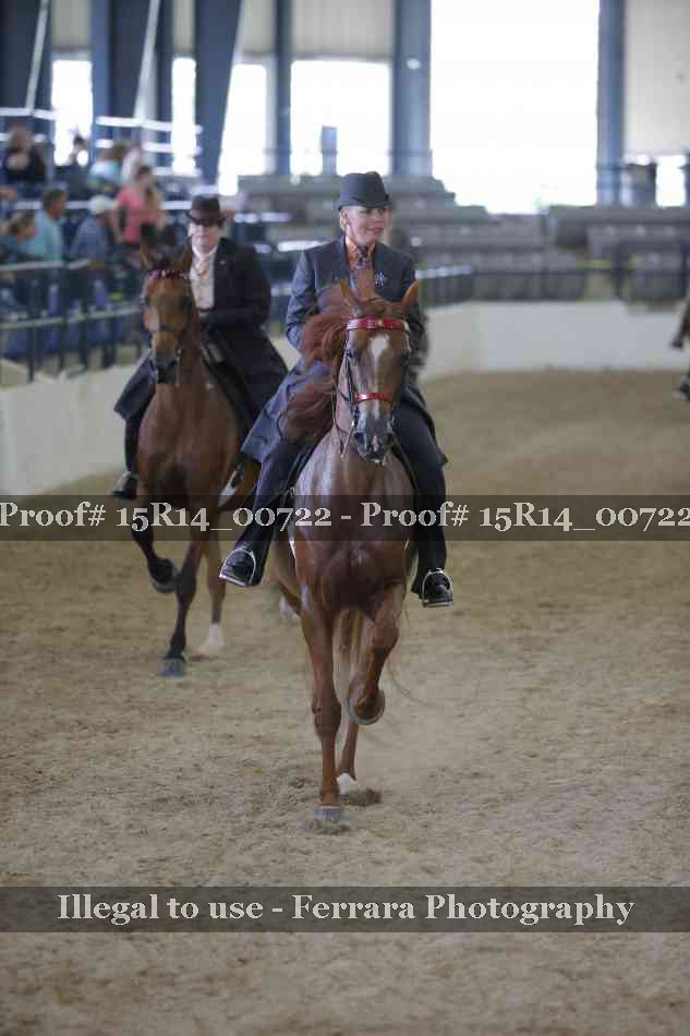 Proof Number 15R14_00722