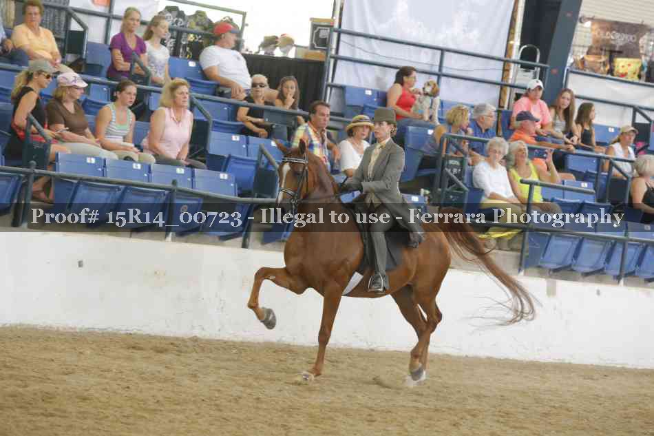 Proof Number 15R14_00723