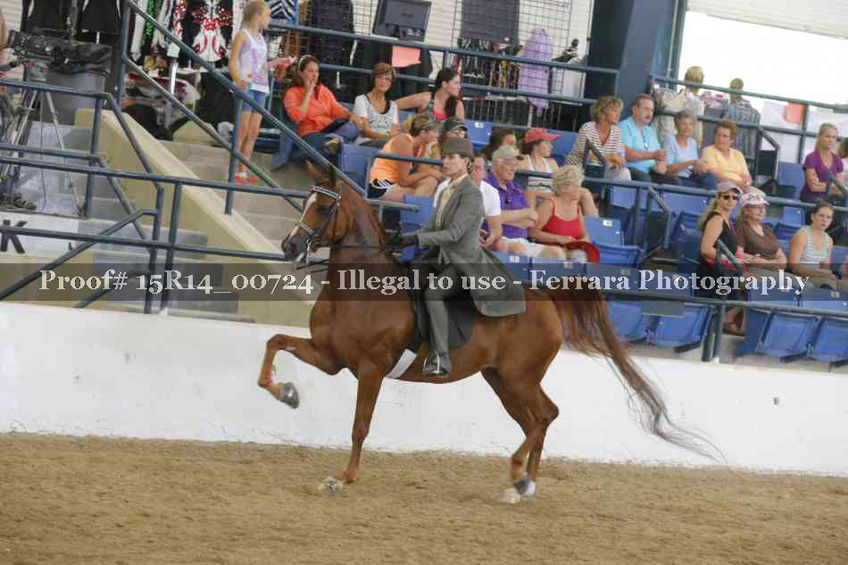 Proof Number 15R14_00724