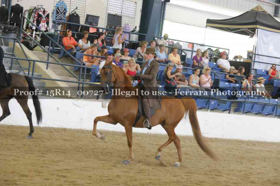 Proof Number 15R14_00727