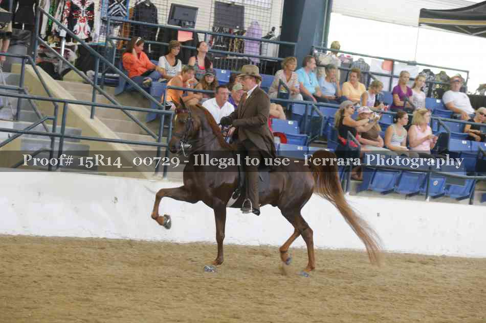 Proof Number 15R14_00729