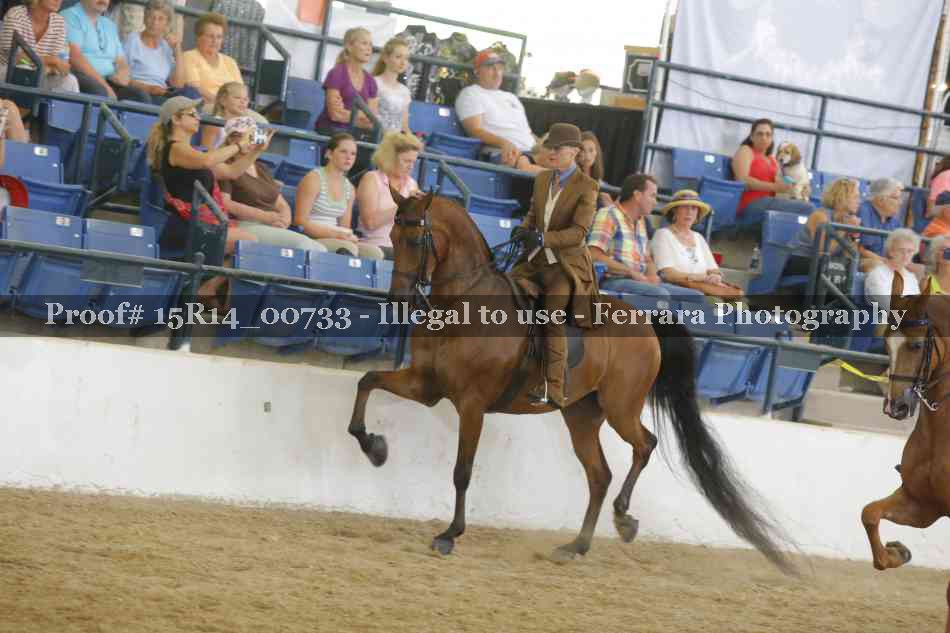 Proof Number 15R14_00733
