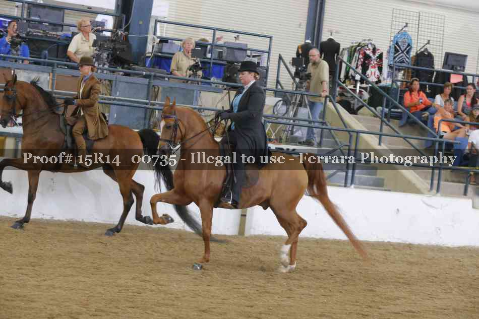 Proof Number 15R14_00735