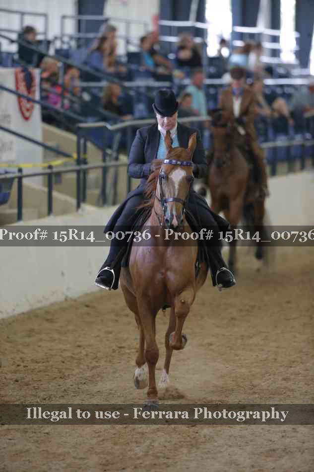 Proof Number 15R14_00736