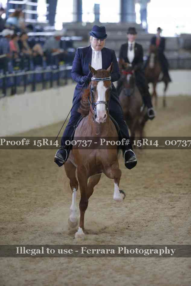 Proof Number 15R14_00737