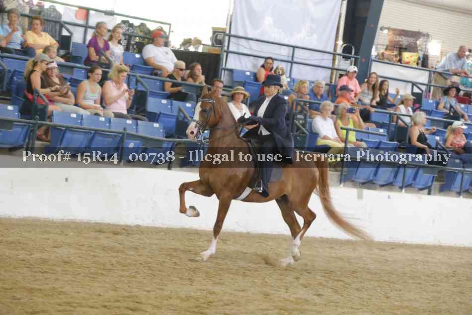 Proof Number 15R14_00738