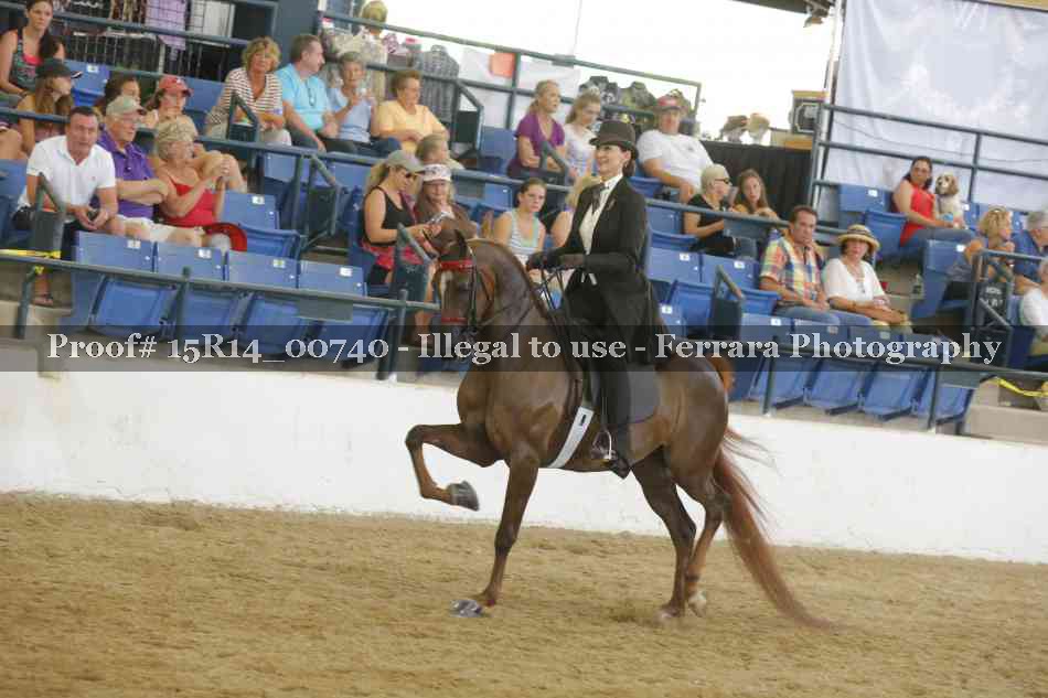 Proof Number 15R14_00740