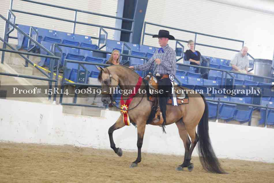 Proof Number 15R14_00819