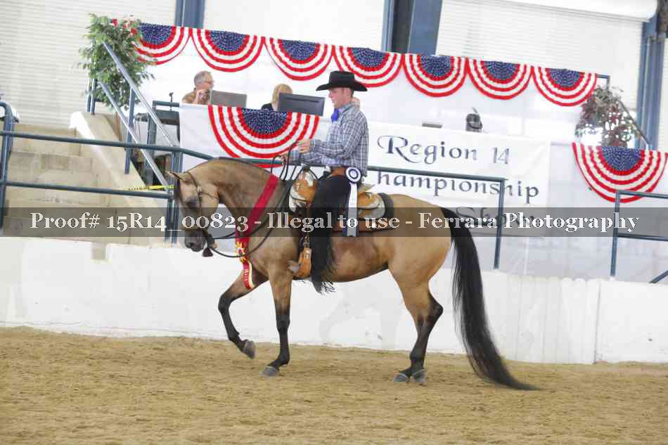 Proof Number 15R14_00823