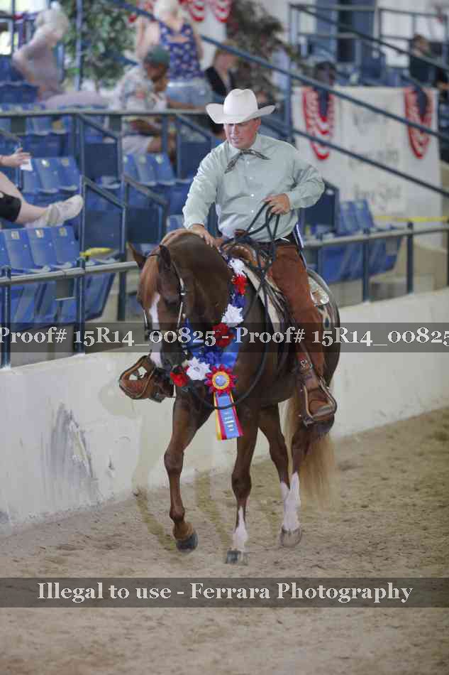 Proof Number 15R14_00825