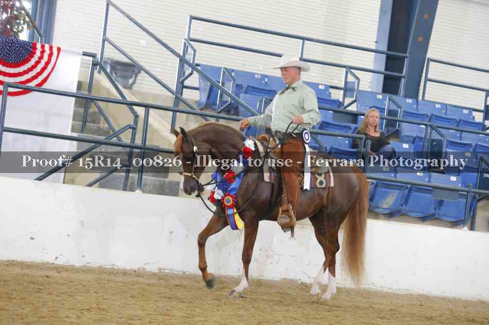 Proof Number 15R14_00826