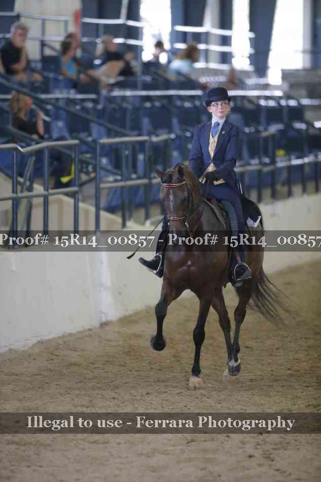 Proof Number 15R14_00857