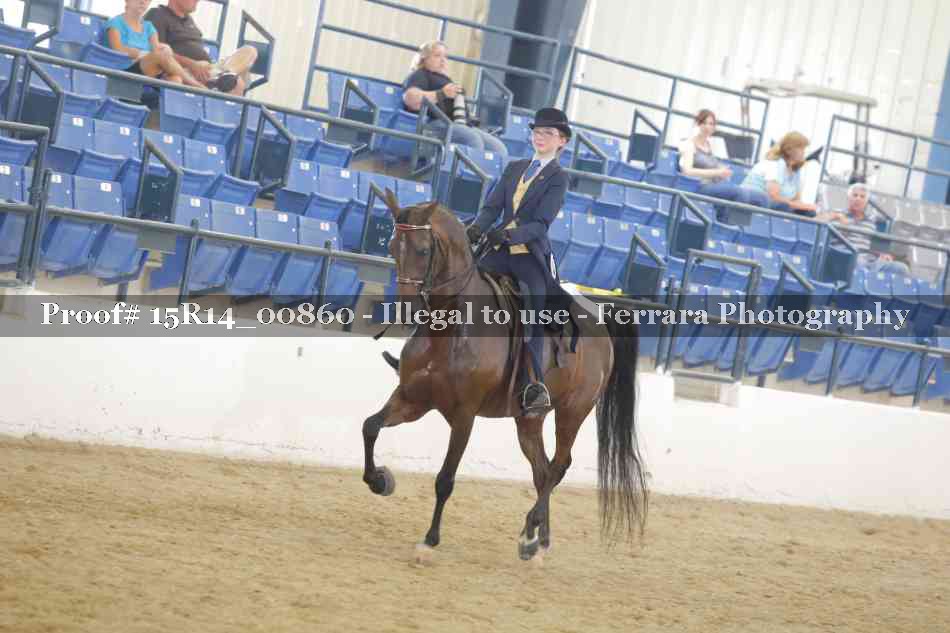 Proof Number 15R14_00860