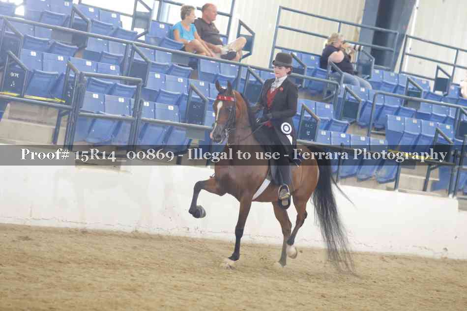 Proof Number 15R14_00869