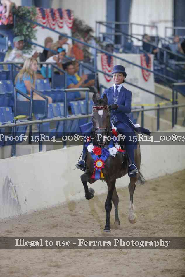 Proof Number 15R14_00873