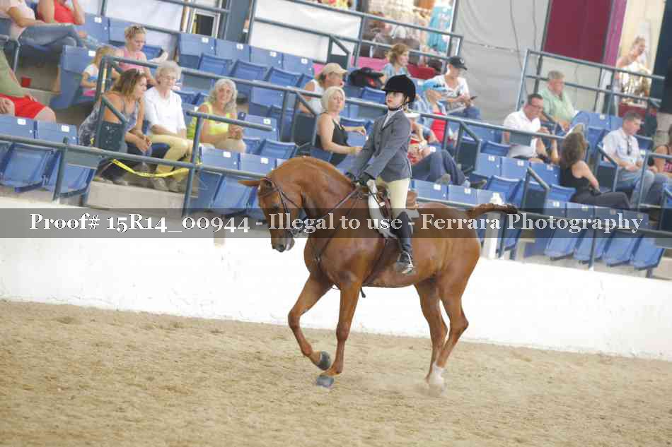 Proof Number 15R14_00944