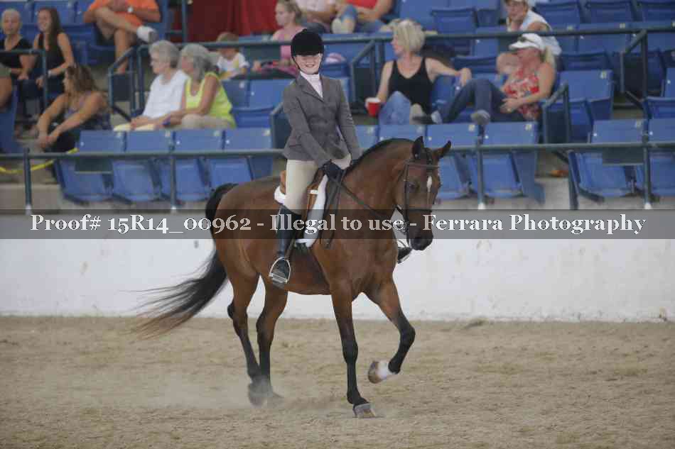 Proof Number 15R14_00962