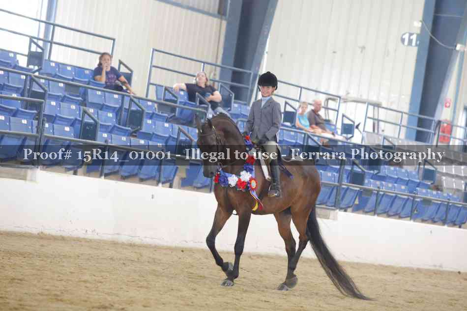 Proof Number 15R14_01001