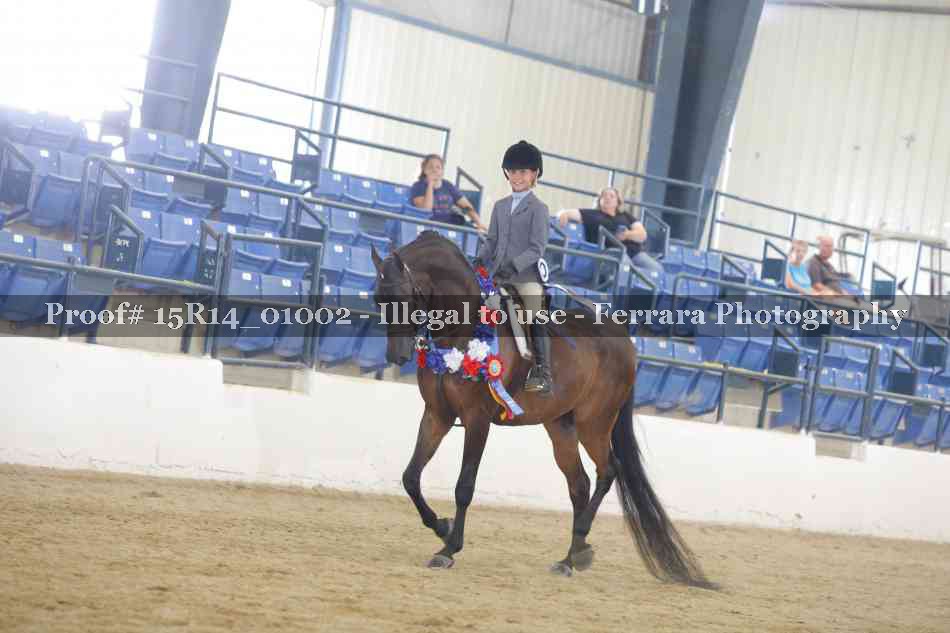 Proof Number 15R14_01002