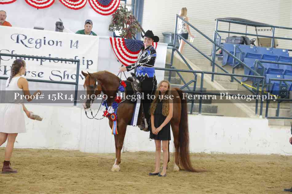 Proof Number 15R14_01029