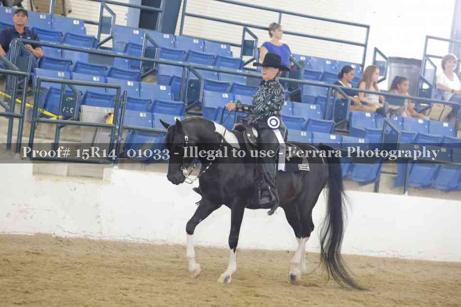 Proof Number 15R14_01033