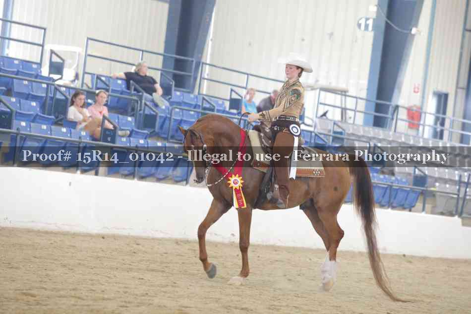 Proof Number 15R14_01042