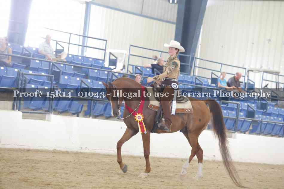 Proof Number 15R14_01043