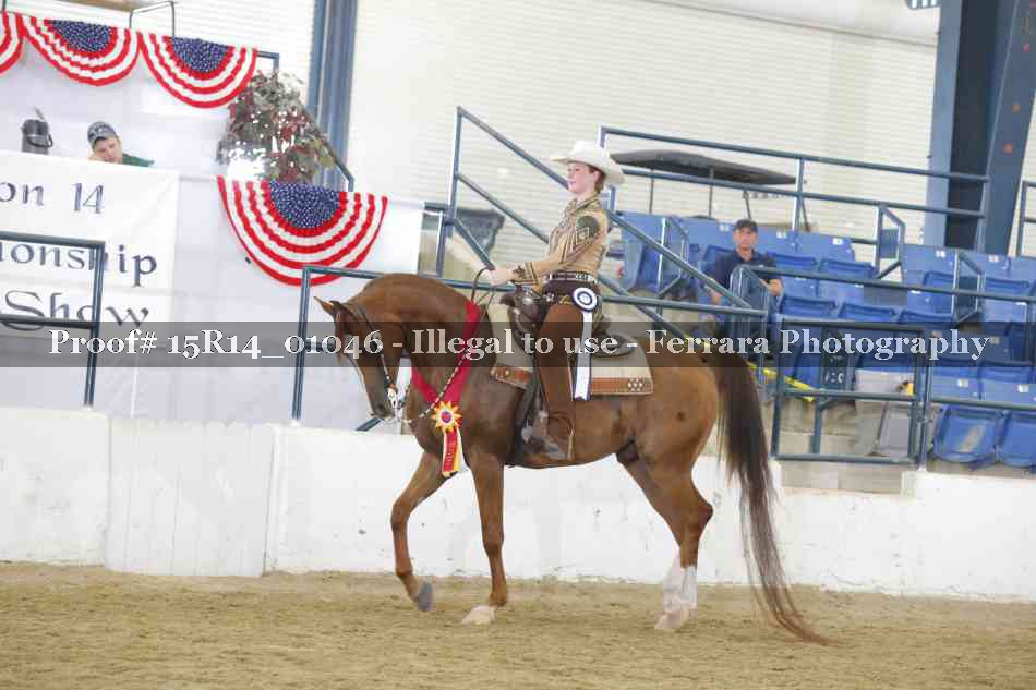 Proof Number 15R14_01046