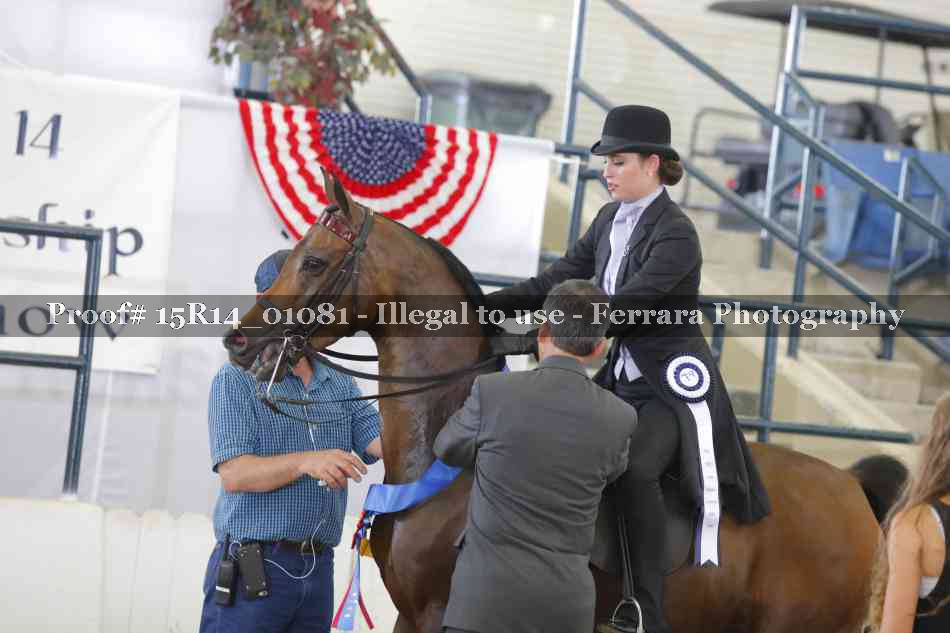 Proof Number 15R14_01081
