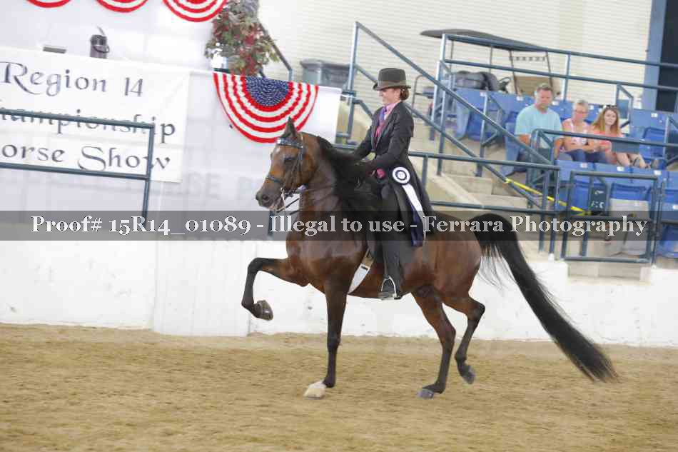 Proof Number 15R14_01089