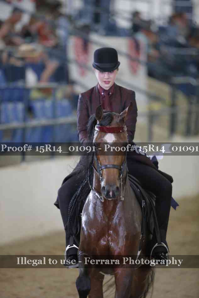 Proof Number 15R14_01091