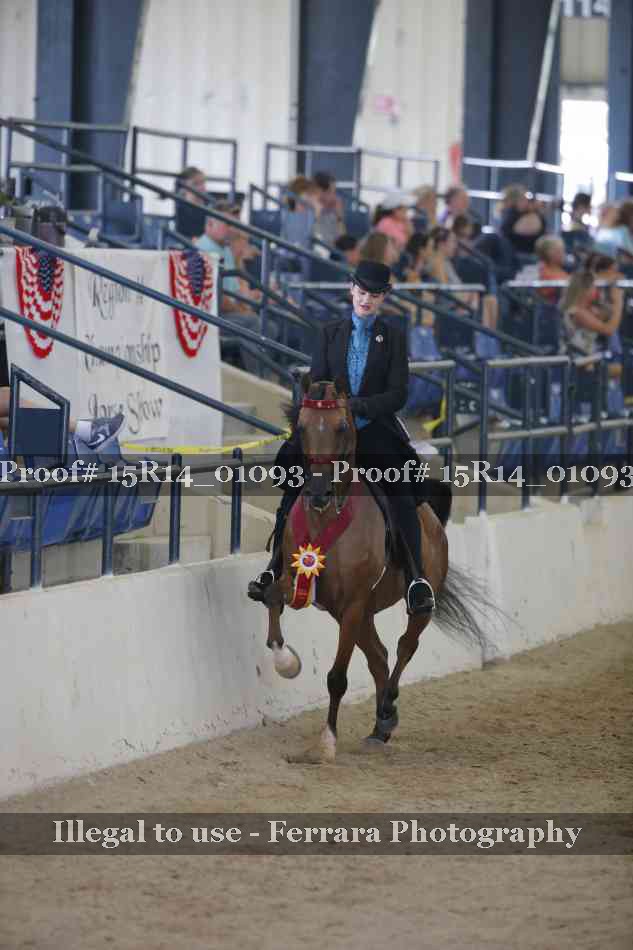Proof Number 15R14_01093