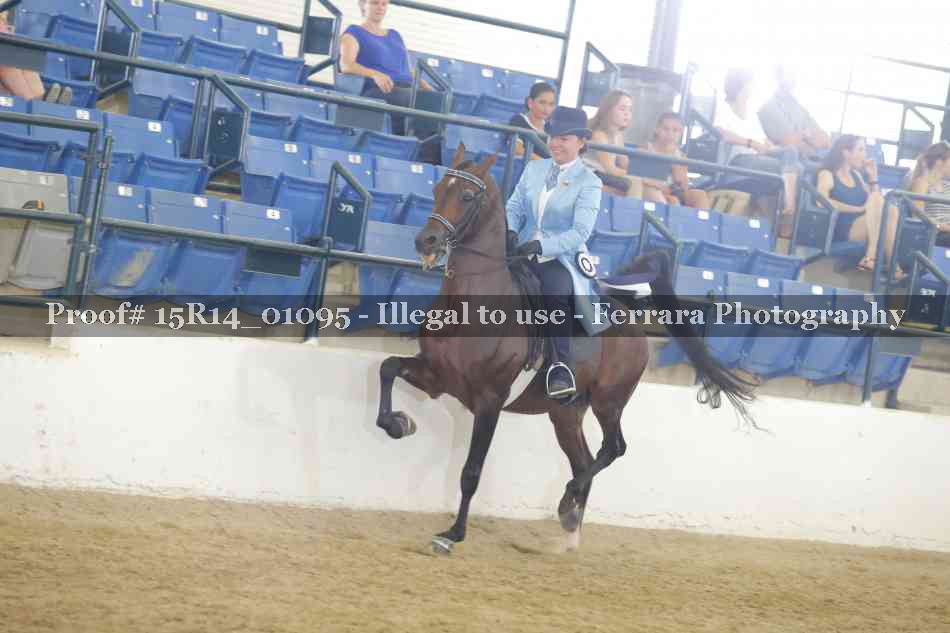 Proof Number 15R14_01095