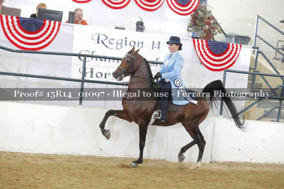 Proof Number 15R14_01097