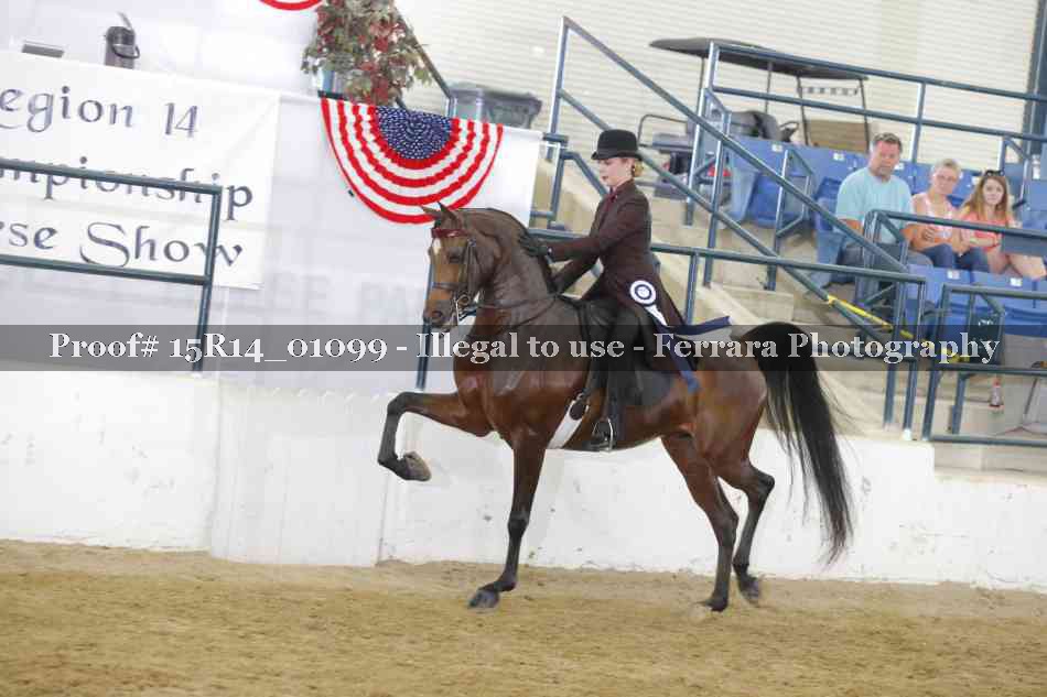 Proof Number 15R14_01099