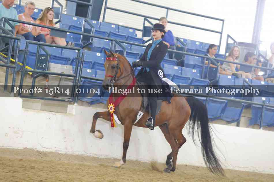 Proof Number 15R14_01104