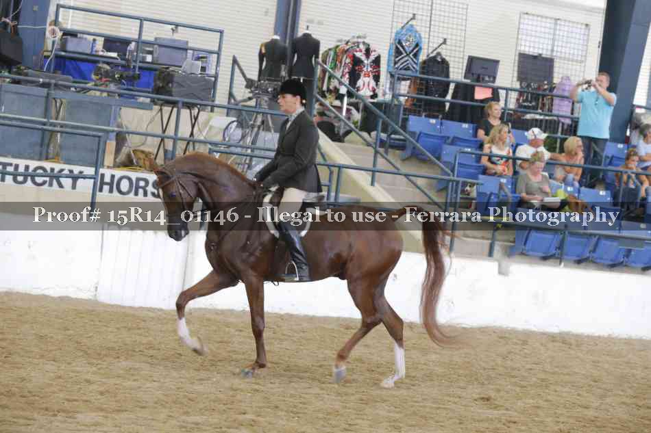 Proof Number 15R14_01146
